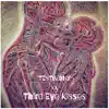 Testimony - Third Eye Kisses - Single